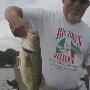 Meet your Posher, Tony